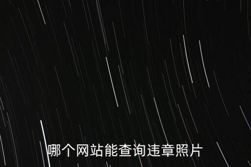 哪個網(wǎng)站能查詢違章照片