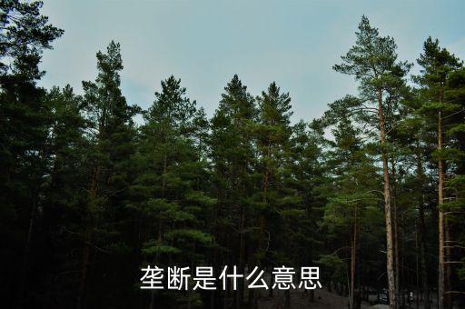 價(jià)格壟斷是什么意思，壟斷是什么意思