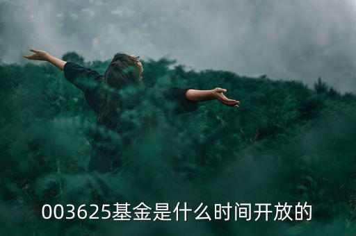 003625基金是什么時(shí)間開放的