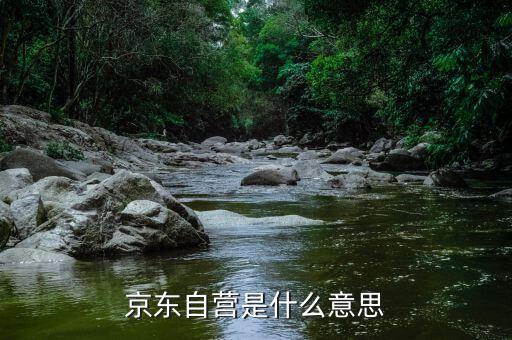 京東自營(yíng)是什么意思