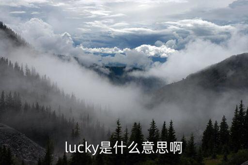 lucky是什么意思啊