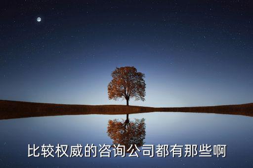 艾瑞和易觀是什么公司，易觀國際有幾個子公司