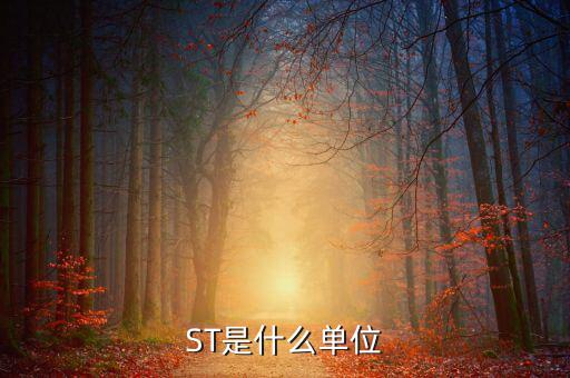 縮寫(xiě)st表示什么數(shù)量單位，ST是什么單位