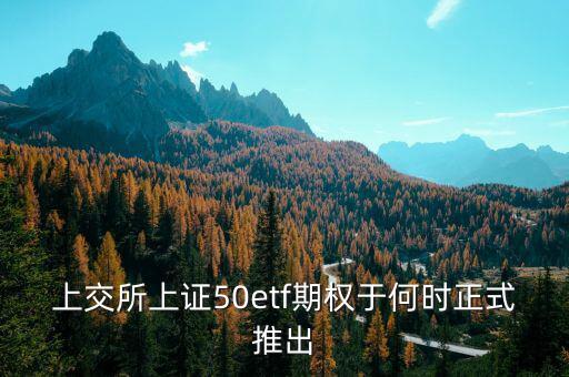 上交所上證50etf期權(quán)于何時(shí)正式推出