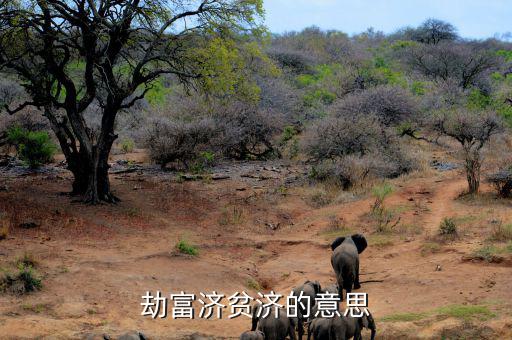 劫貧濟富是什么意思，劫富濟貧濟的意思