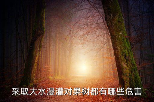 廣西地區(qū)大水漫灌導致什么，在干旱半干旱地區(qū)采取大水漫灌的灌溉方式可能會導致土地鹽漬化