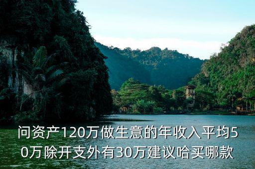 問資產(chǎn)120萬做生意的年收入平均50萬除開支外有30萬建議哈買哪款