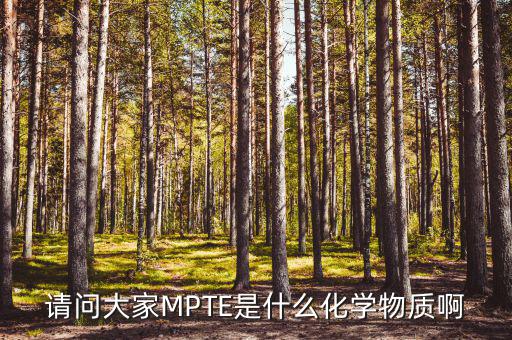 汽油的mpte是什么，汽油里MPTE是什么