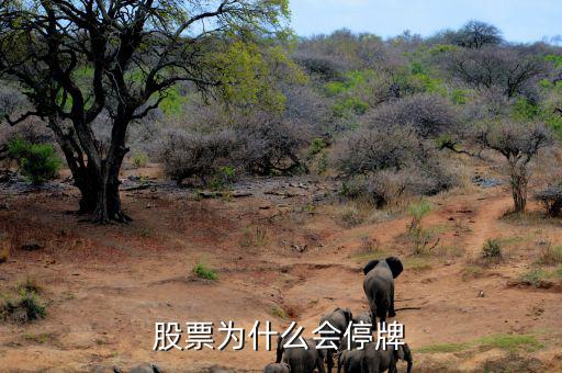 股票為什么會(huì)停牌