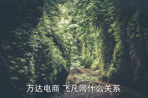 萬(wàn)達(dá)電商 飛凡網(wǎng)什么關(guān)系