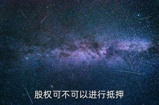 股權(quán)可不可以進行抵押