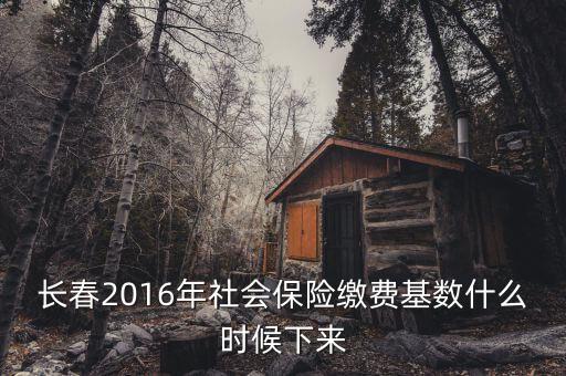 長(zhǎng)春2016年社會(huì)保險(xiǎn)繳費(fèi)基數(shù)什么時(shí)候下來(lái)