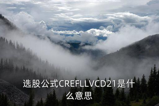 股票里的D2什么意思，選股公式CREFLLVCD21是什么意思