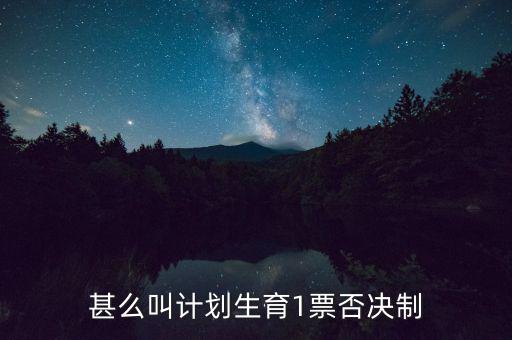 甚么叫計劃生育1票否決制