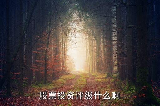 股票投資評(píng)級(jí)什么啊