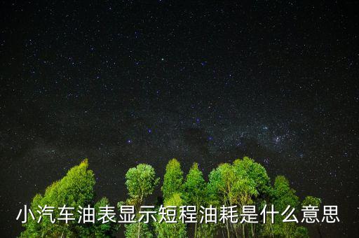 油耗顯示是指什么，請(qǐng)教專業(yè)人士瞬時(shí)油耗顯示是什么意思