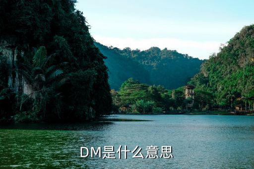 什么是dm理財(cái)，DM在國際金融里面是什么意思