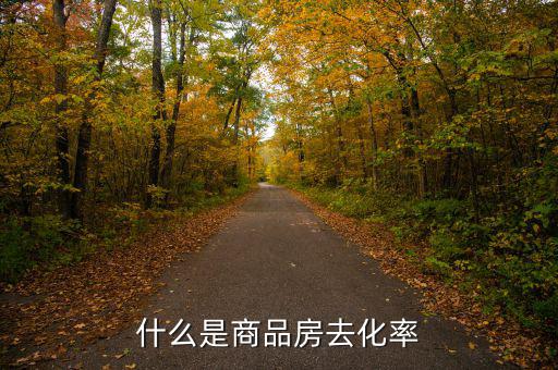 什么是新開樓盤去化率，房產(chǎn)去化率是什么