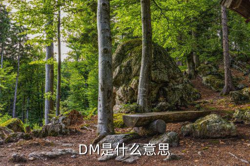 DM是什么意思