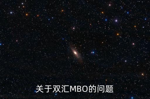 關(guān)于雙匯MBO的問題