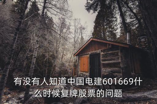 有沒有人知道中國電建601669什么時候復(fù)牌股票的問題