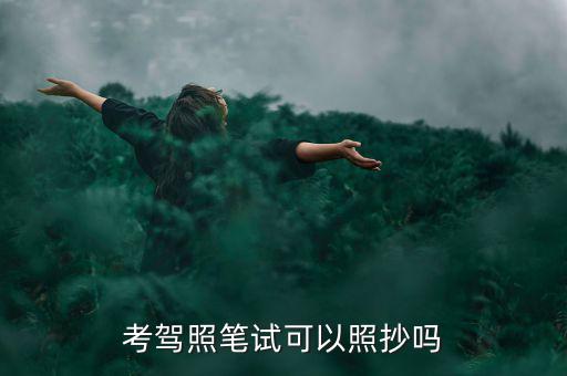 考駕照筆試可以照抄嗎