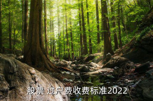  股票 過戶費收費標(biāo)準(zhǔn)2022