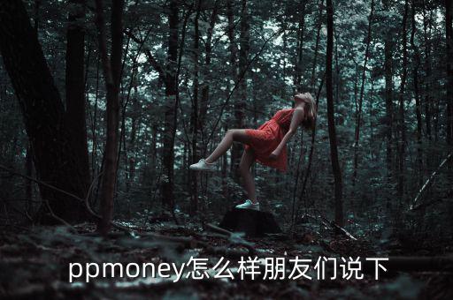  ppmoney怎么樣朋友們說下