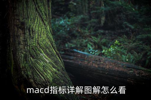  macd指標詳解圖解怎么看