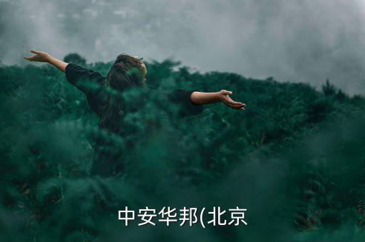 中安消研究院怎么樣,中安消是股票市場(chǎng)上海板塊的上海公司