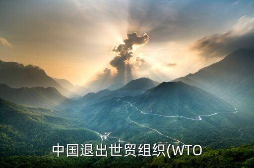 中國(guó)退出世貿(mào)組織(WTO