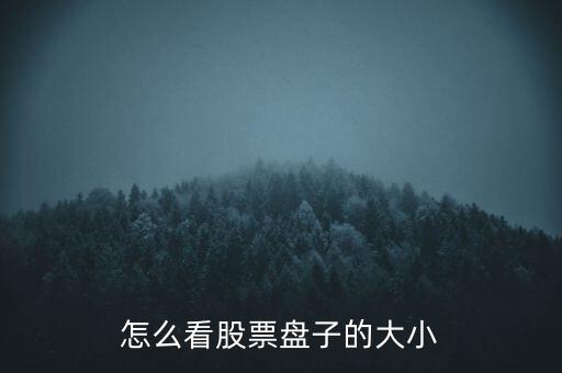 怎么看股票盤(pán)子的大小