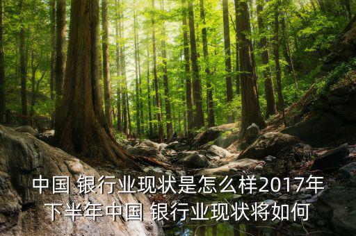 中國 銀行業(yè)現(xiàn)狀是怎么樣2017年下半年中國 銀行業(yè)現(xiàn)狀將如何