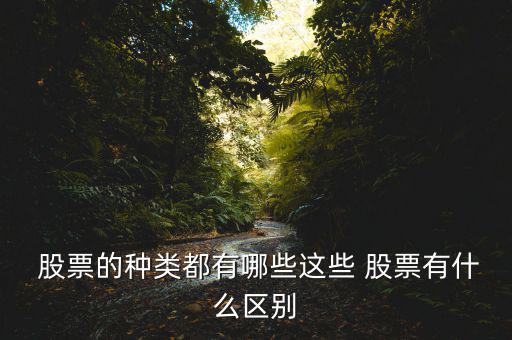  股票的種類都有哪些這些 股票有什么區(qū)別