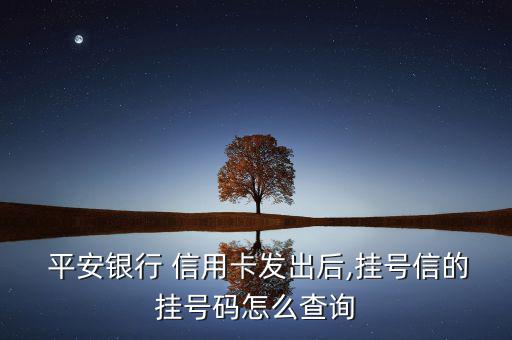 怎么查平安信用卡號,如何查詢銀行信用卡申請進(jìn)度?一文看懂