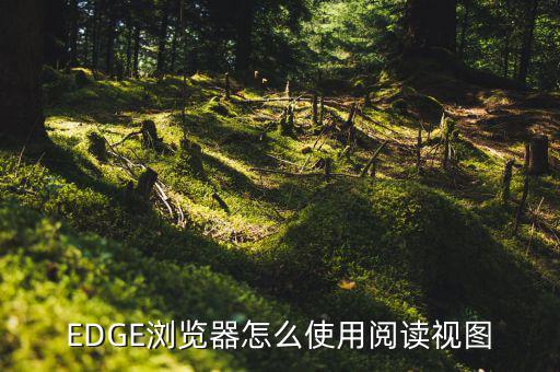 EDGE瀏覽器怎么使用閱讀視圖