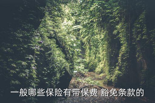 帶豁免功能的保險(xiǎn)怎么買(mǎi),少兒保險(xiǎn)豁免功能最好是溫和的豁免