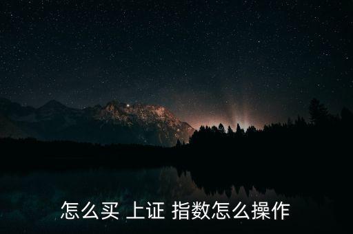 怎么買 上證 指數(shù)怎么操作