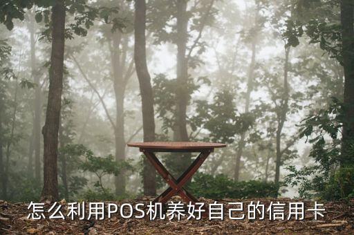 怎么利用POS機養(yǎng)好自己的信用卡