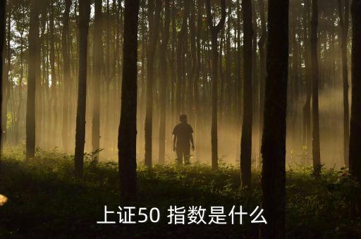  上證50 指數(shù)是什么