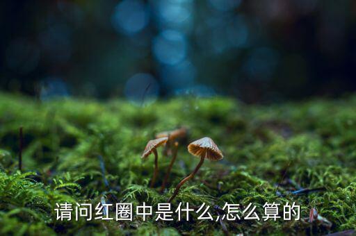 請問紅圈中是什么,怎么算的