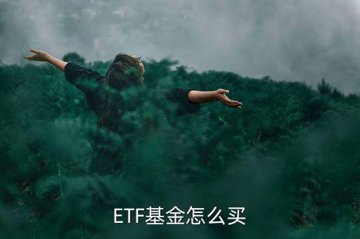 怎么投資境外etf,新加坡外匯交易