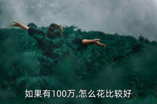 如果有100萬(wàn),怎么花比較好