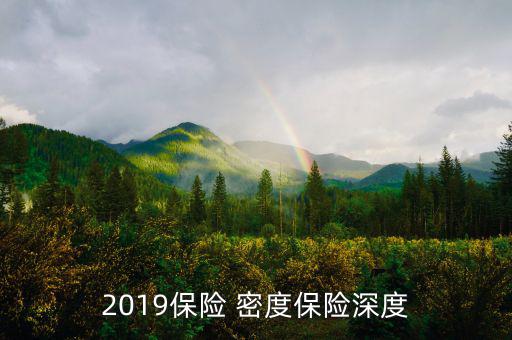 2019保險 密度保險深度