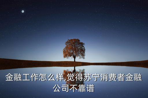 蘇寧金融工作怎么樣,覺(jué)得蘇寧消費(fèi)者金融公司不靠譜