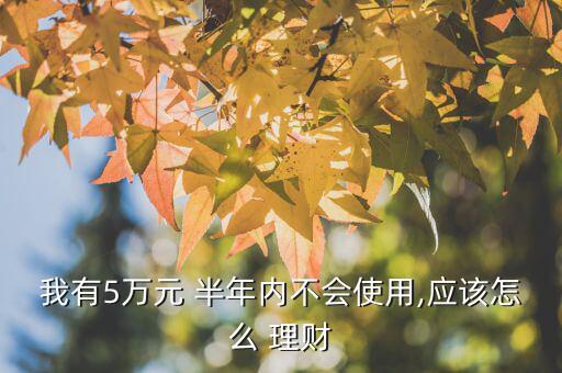 我有5萬元 半年內(nèi)不會使用,應(yīng)該怎么 理財