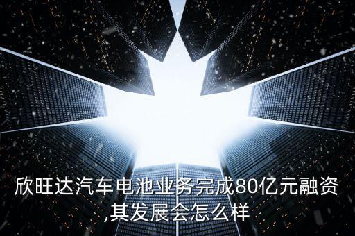 欣旺達汽車電池業(yè)務完成80億元融資,其發(fā)展會怎么樣