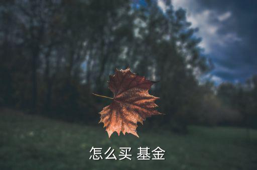 挖財(cái)怎么買基金,網(wǎng)購(gòu)基金可以用支付寶或微信購(gòu)買