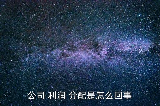 公司 利潤(rùn) 分配是怎么回事