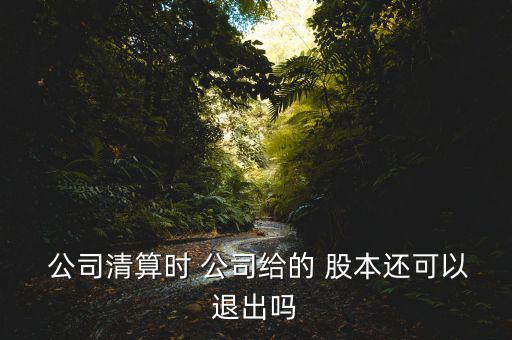  公司清算時(shí) 公司給的 股本還可以退出嗎